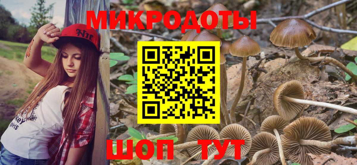 что такое наркотик  Вход с VPN  Сухой Лог  Галлюциногенные грибы Magic Shrooms 